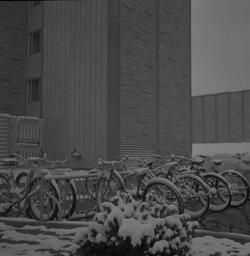Bicycles outside Harrison Hall