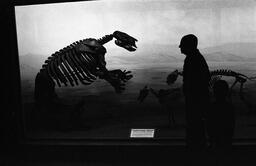 James A. Michener at the Denver Museum of Natural History, ca. 1975