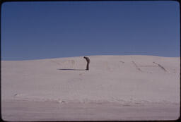 "MICH," White Sands National Monument, NM