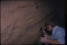Man studying fossilized dung in Rampart Cave, Arizona