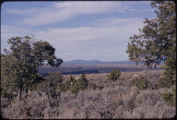 Black Mesa Canyon, New Mexico