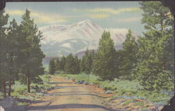 WWII06AAFWTTC Mt. Elbert postcard
