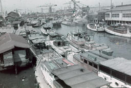 Canal, Yokohama, Japan, February 1958