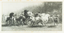 Horse Fair by Rosa Bonheur, ca. early 1900s