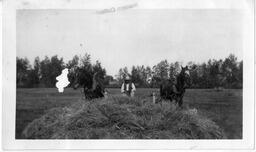 Dr. W.A. Jones cutting hay, Dearfield, Colorado, ca. 1910s or 20s