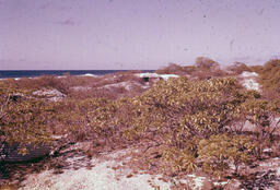 Bunker on Beach, Wake Island, February 1958