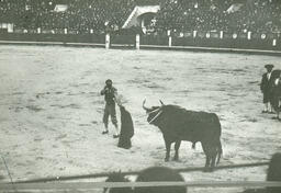 Bullfight, Mexico