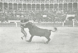 Bullfight, Mexico